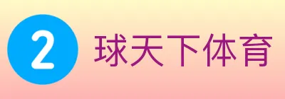 球天下体育 logo